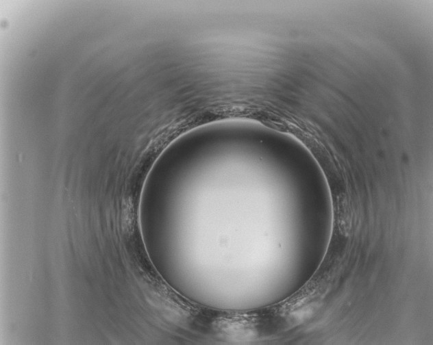 X0000060760563200511171151