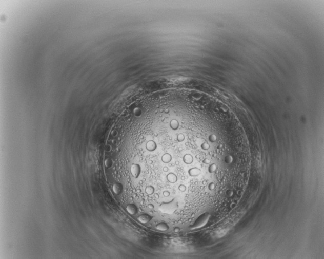 X0000060760565200511171151