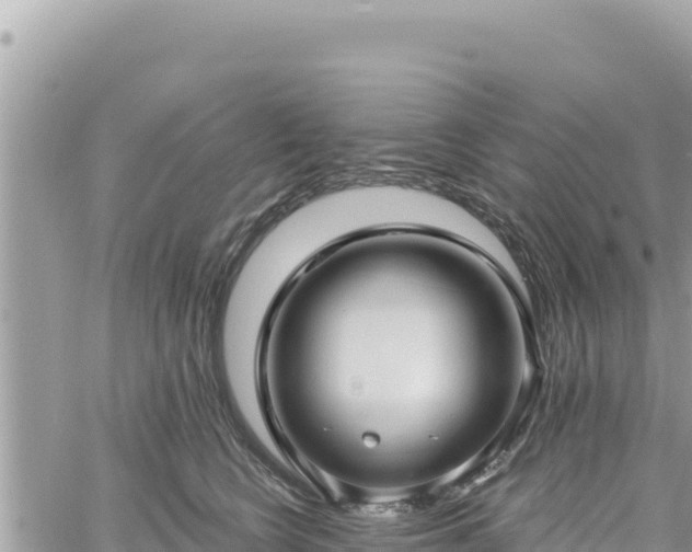 X0000060760566200511171151