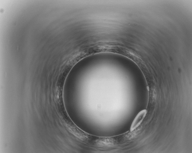 X0000060760567200511171151