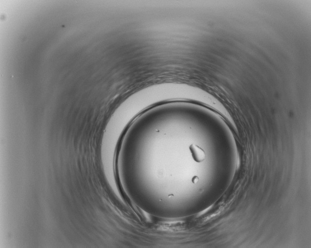 X0000060760568200511171151