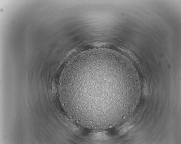 X0000060760569200511171151