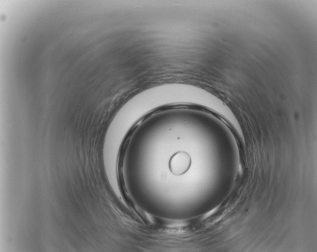 X0000060760570200511171151