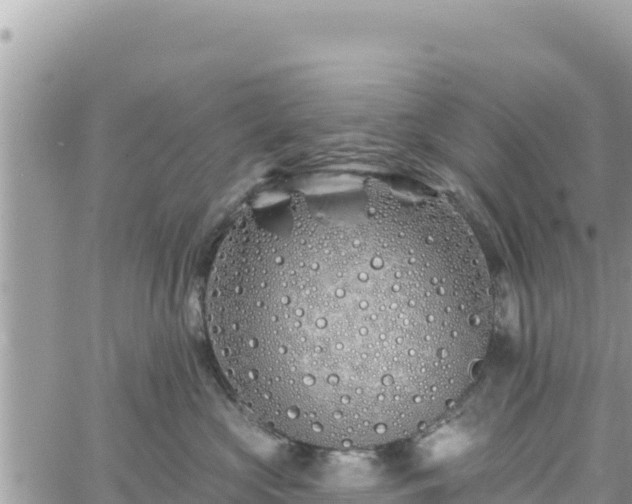 X0000060760573200511171151