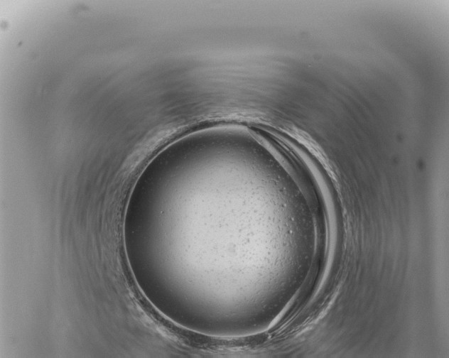 X0000060760577200511171150