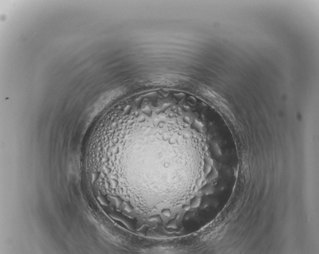 X0000060760578200511171150