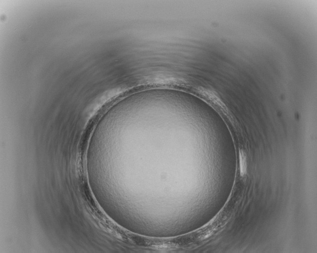 X0000060760579200511171150