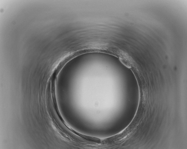 X0000060760580200511171150