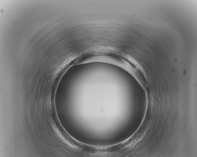 X0000060760581200511171150