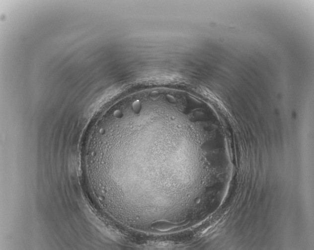 X0000060760582200511171150