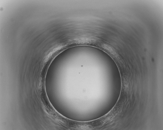 X0000060760583200511171150