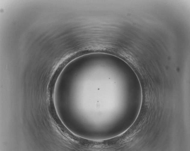 X0000060760584200511171150