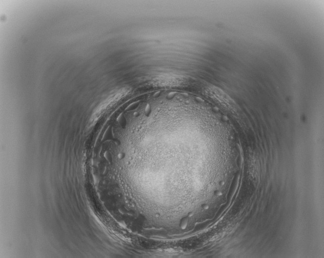 X0000060760586200511171150