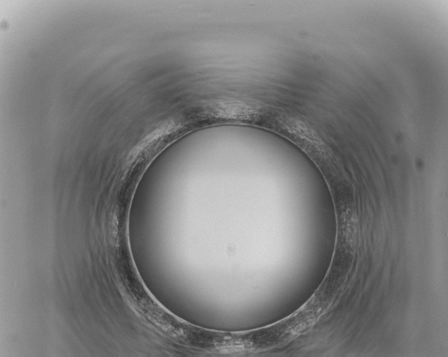 X0000060760587200511171150