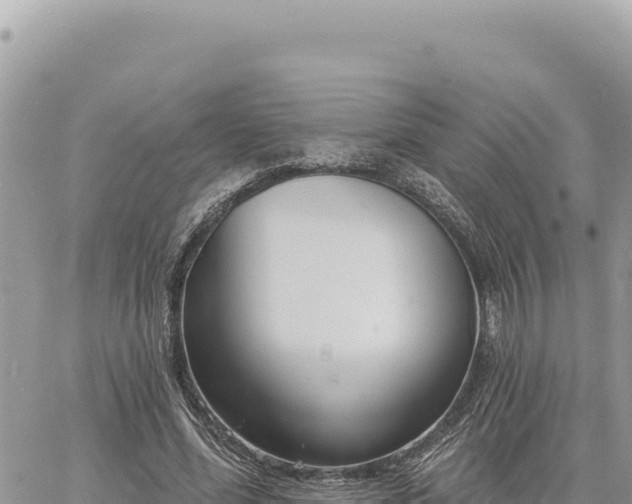 X0000060760588200511171150