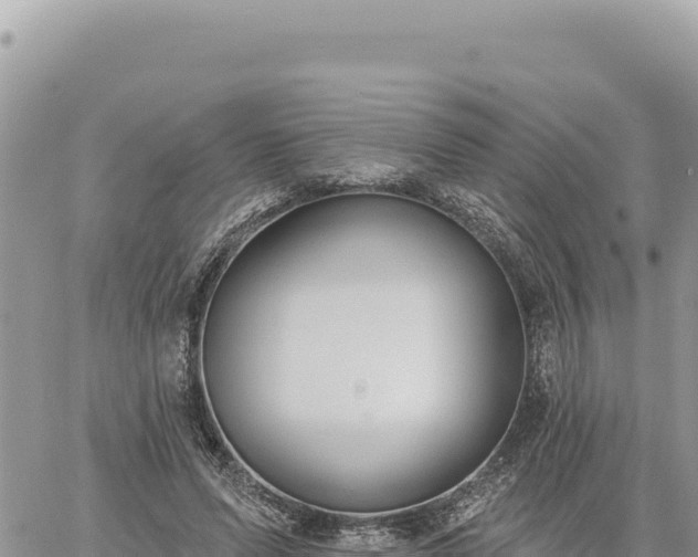 X0000060760591200511171150