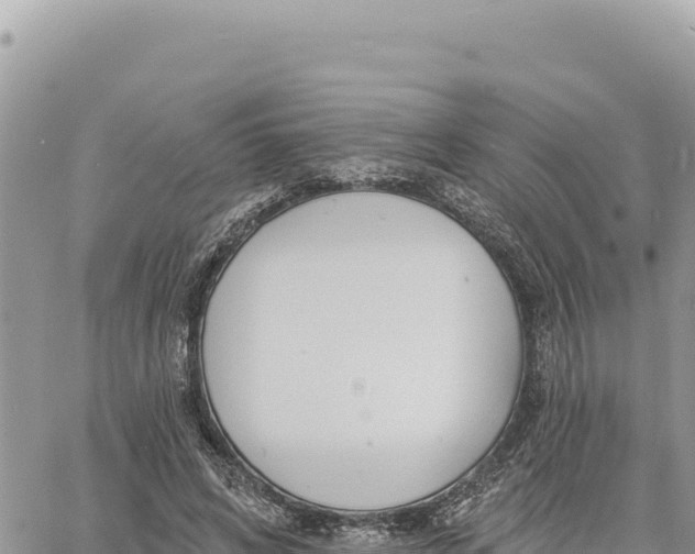 X0000060760592200511171150