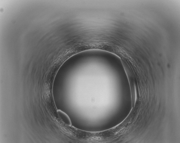 X0000060760593200511171150