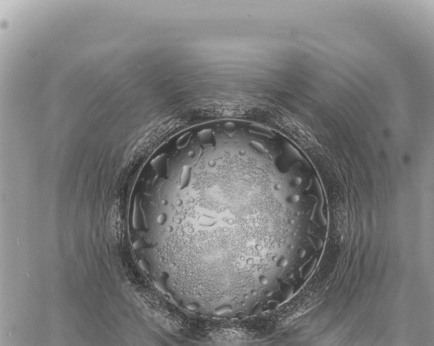 X0000060760594200511171150