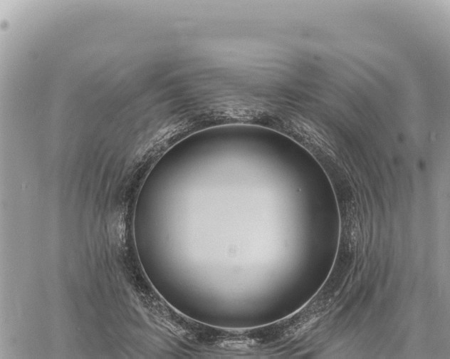 X0000060760595200511171150