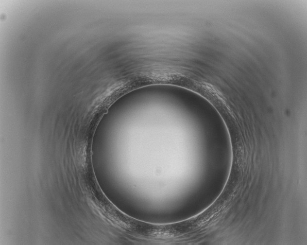 X0000060760596200511171150