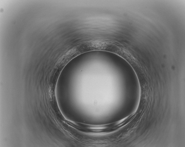 X0000060760597200511171150