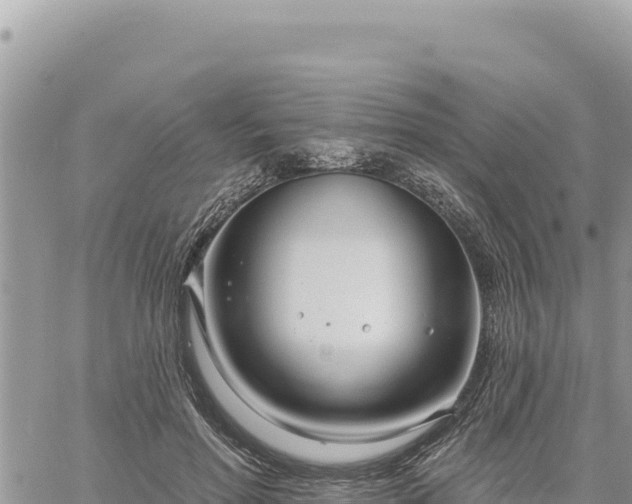 X0000060760598200511171150