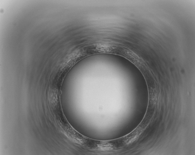 X0000060760603200511171150