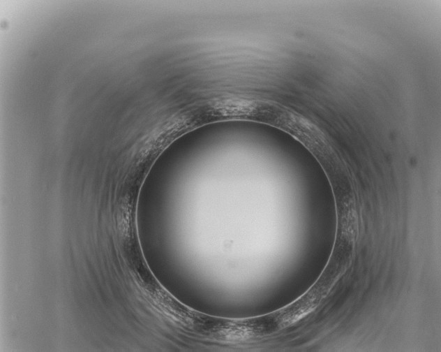 X0000060760604200511171150