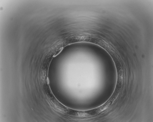 X0000060760605200511171150