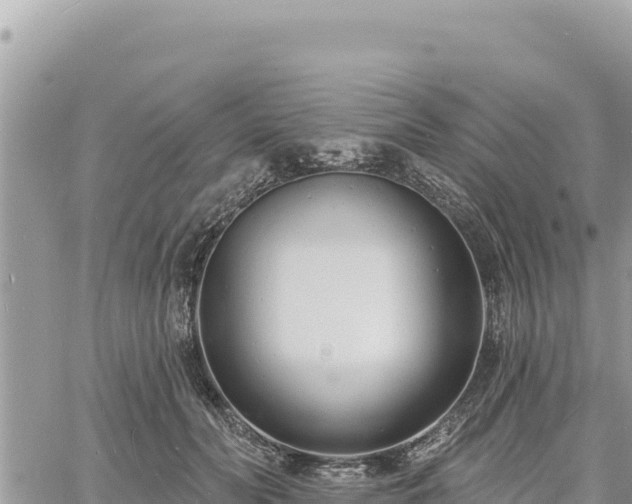 X0000060760606200511171150