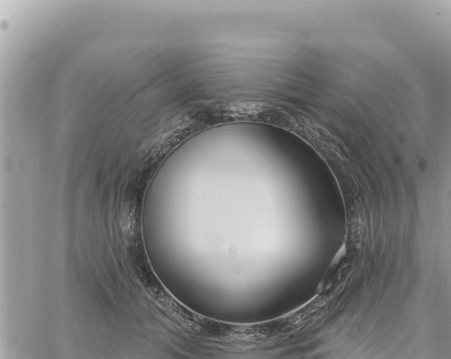 X0000060760608200511171150