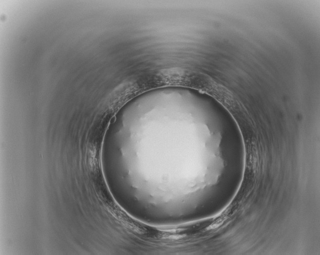 X0000060760610200511171150