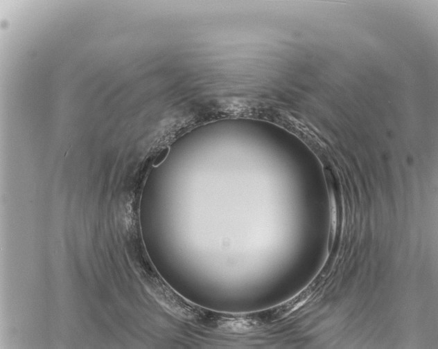 X0000060760611200511171149