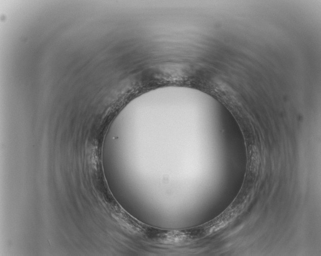 X0000060760612200511171149