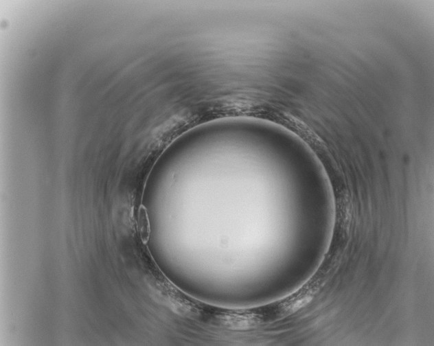 X0000060760615200511171149