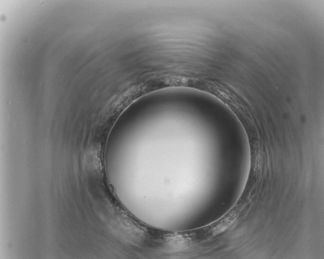 X0000060760616200511171149