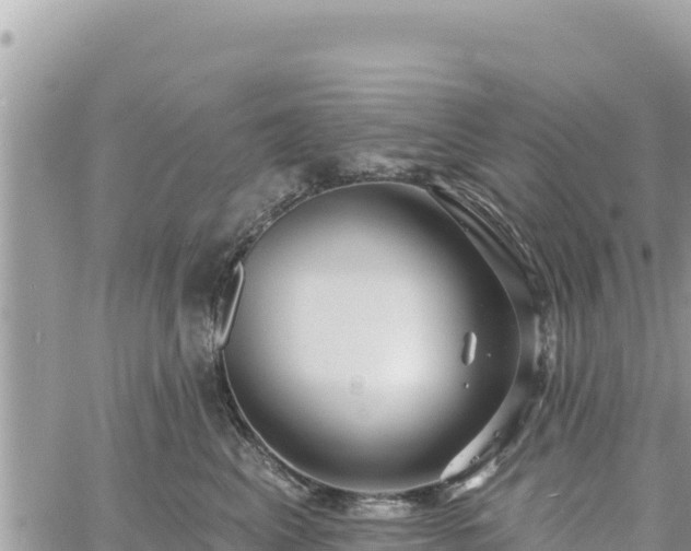 X0000060760617200511171149