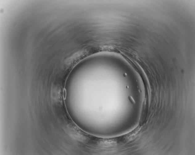 X0000060760619200511171149