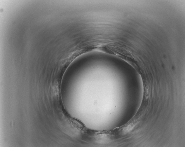 X0000060760620200511171149