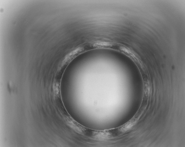 X0000060760621200511171149