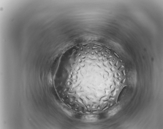 X0000060760622200511171149