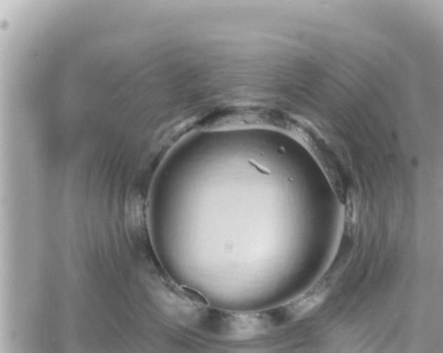 X0000060760623200511171149