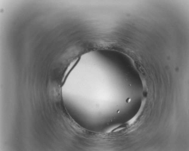 X0000060760624200511171149