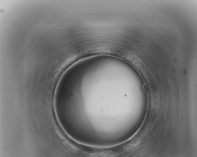 X0000060760625200511171148