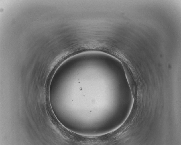 X0000060760626200511171149