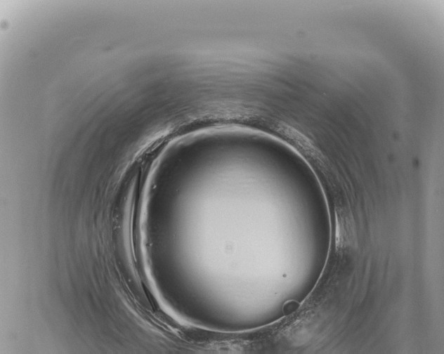 X0000060760627200511171149