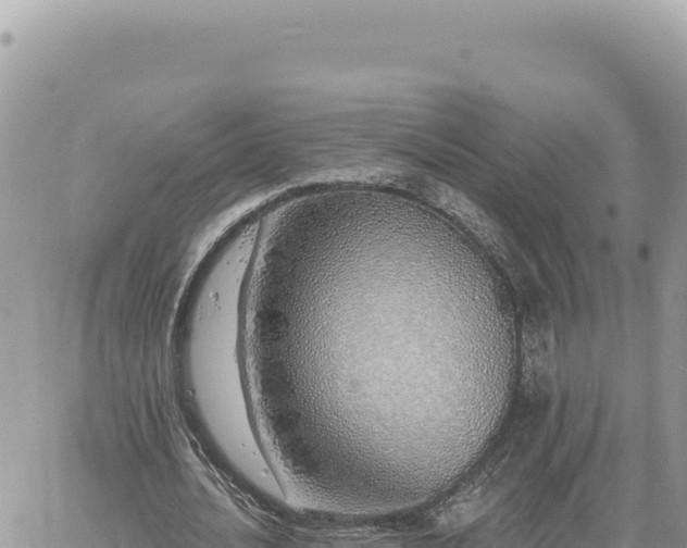 X0000060760628200511171149