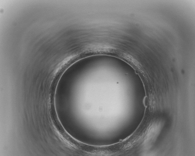 X0000060760629200511171149