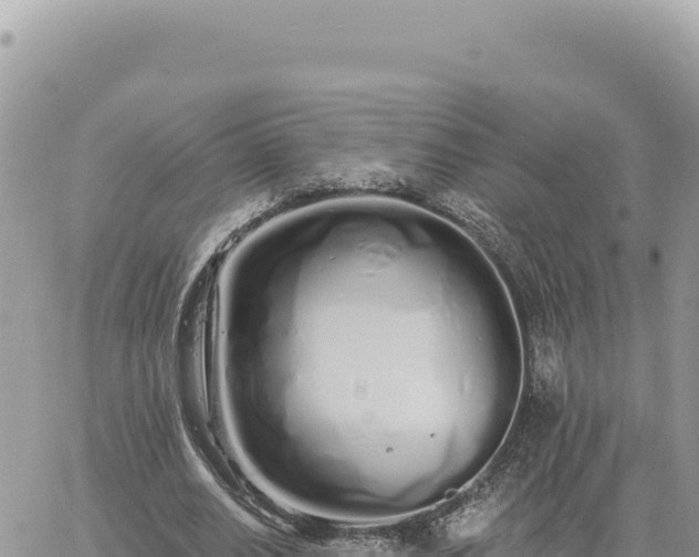 X0000060760630200511171149